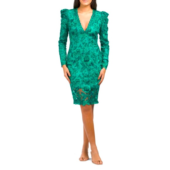Tadshi shojl dress. Color green. Size 2. - Picture 1 of 4